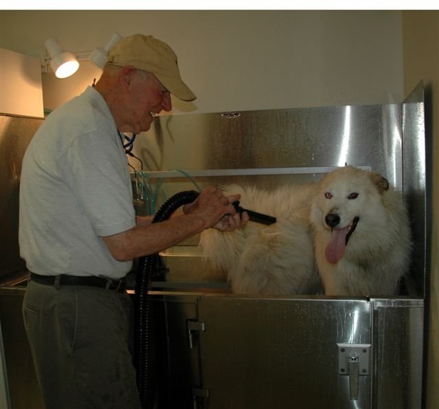 do it yourself dog wash at Karlas Pets