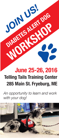 Diabetes Alert dog workshop